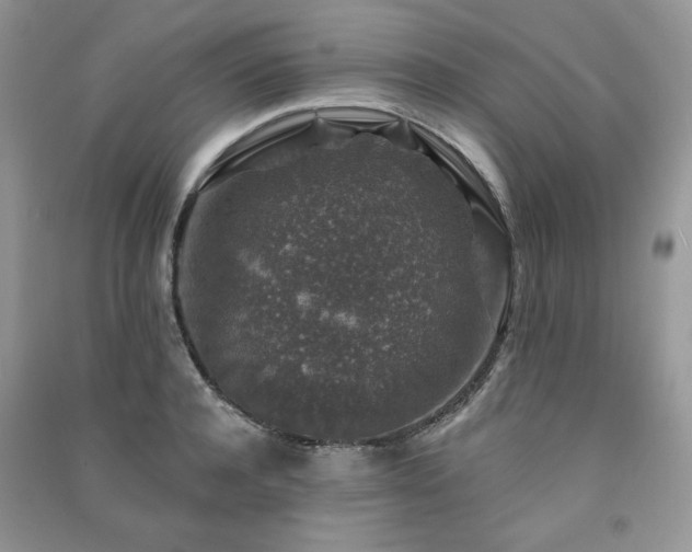 X0000091210944200708091344