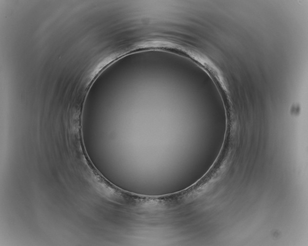 X0000091210945200708091344