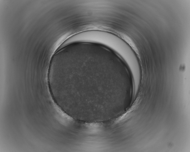 X0000091210946200708091344