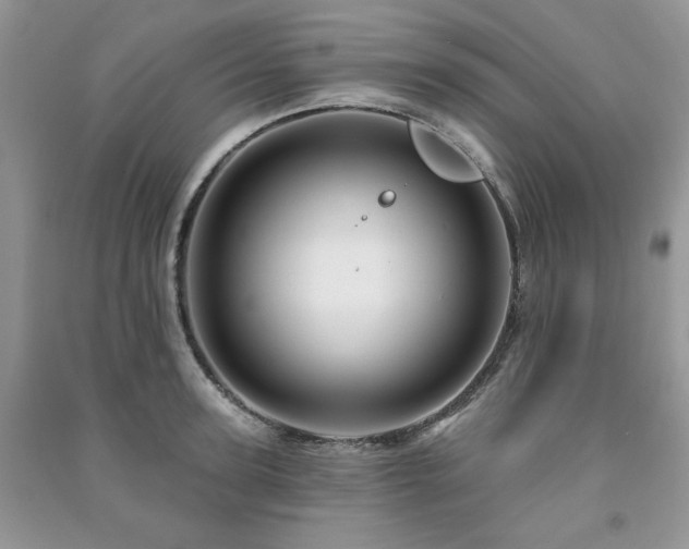 X0000091210947200708091344