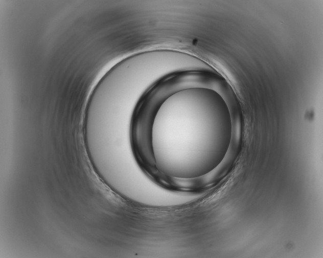X0000091210948200708091344