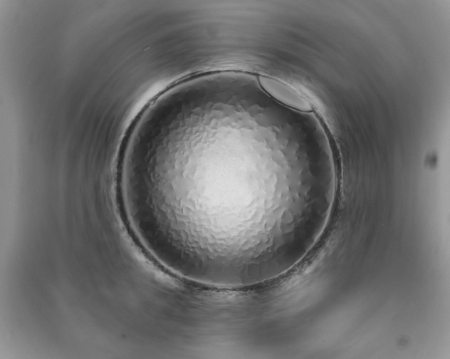 X0000091210949200708091344