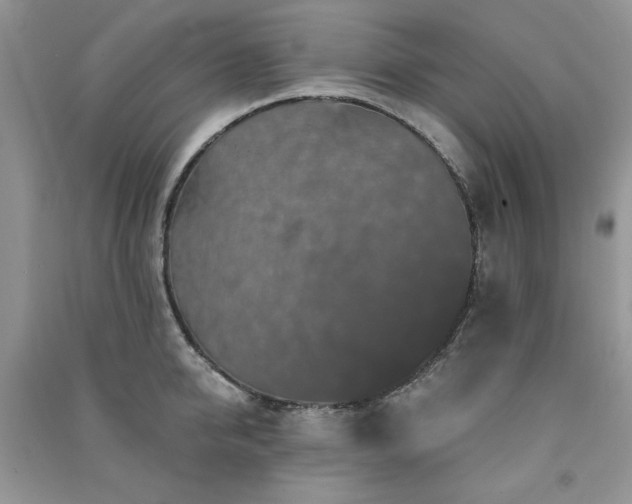 X0000091210950200708091345
