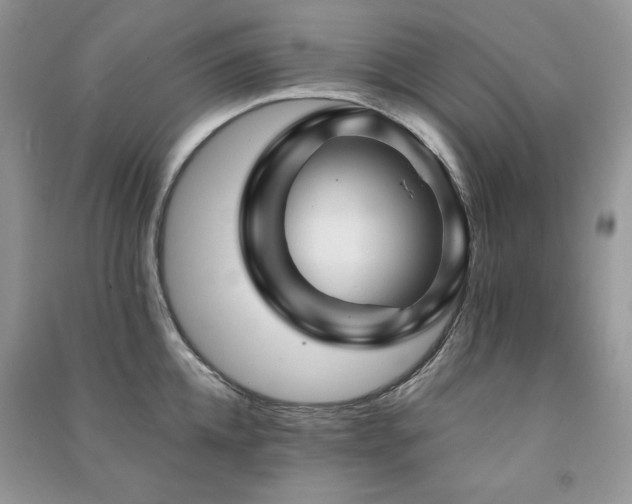 X0000091210952200708091345