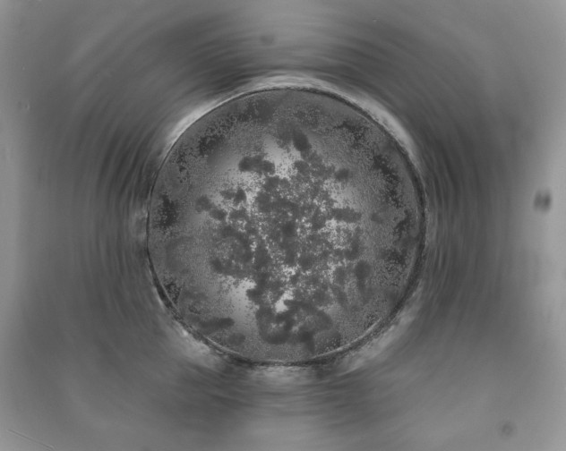 X0000091210953200708091345