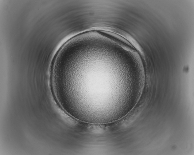 X0000091210955200708091345