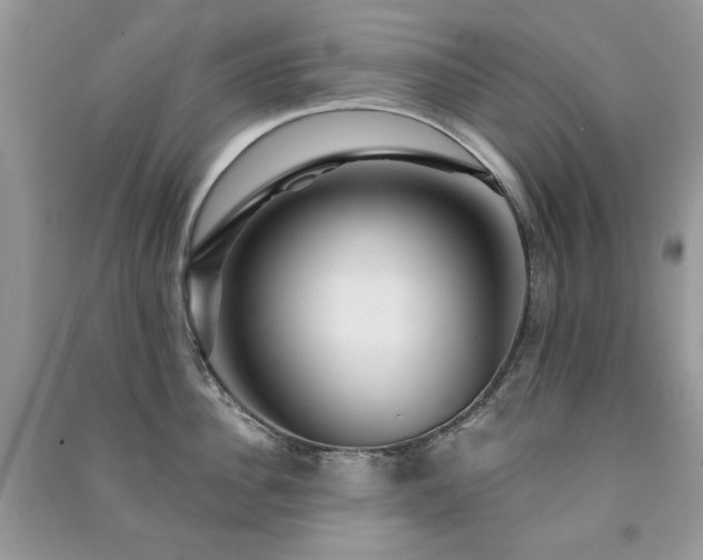 X0000091210956200708091345