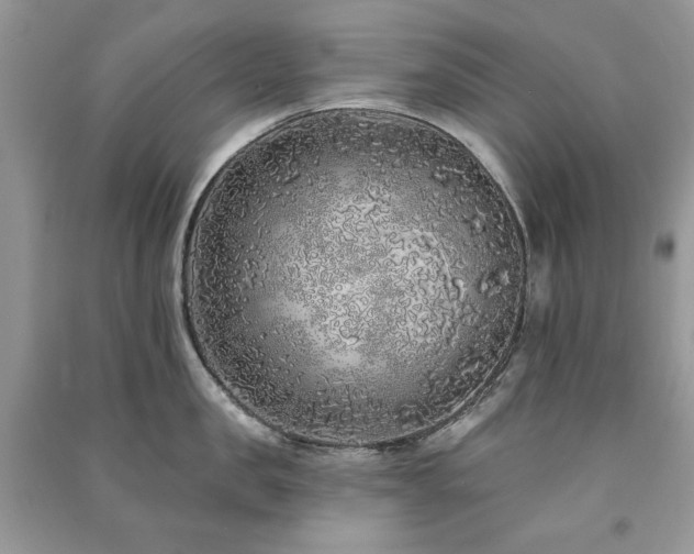 X0000091210957200708091345