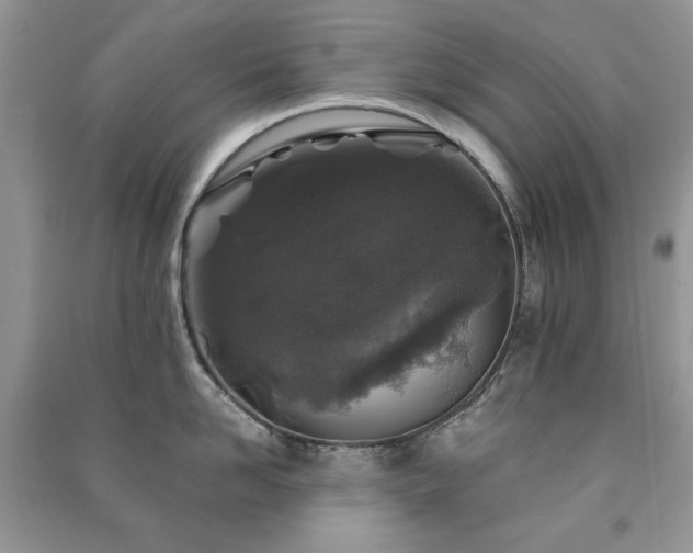 X0000091210958200708091345