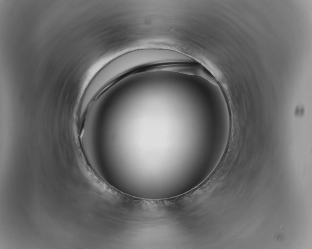 X0000091210960200708091345