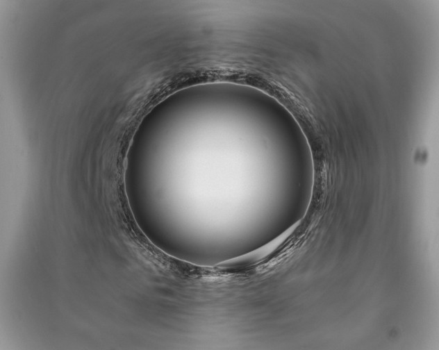 X0000091210961200708091344