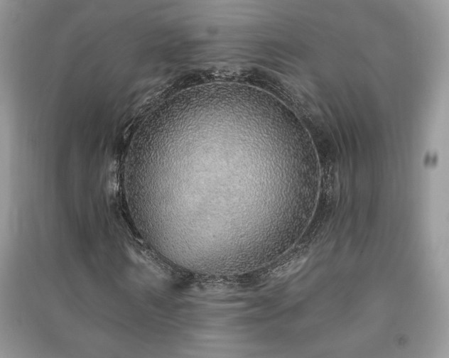 X0000091210962200708091344