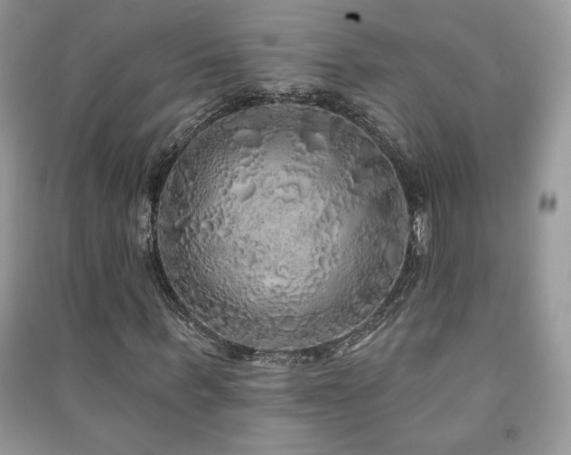 X0000091210963200708091344