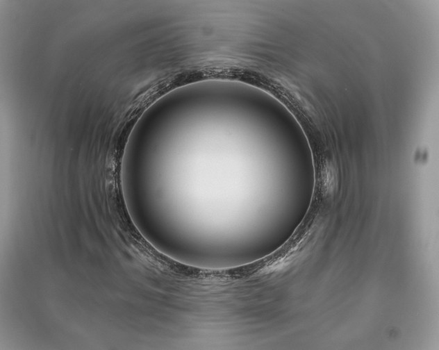 X0000091210964200708091344