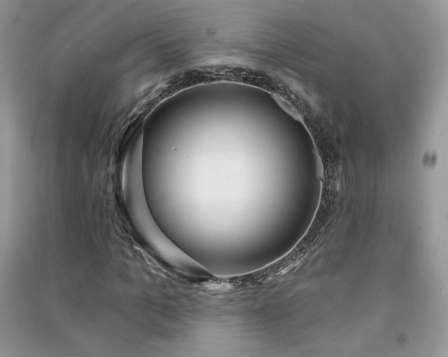 X0000091210965200708091344