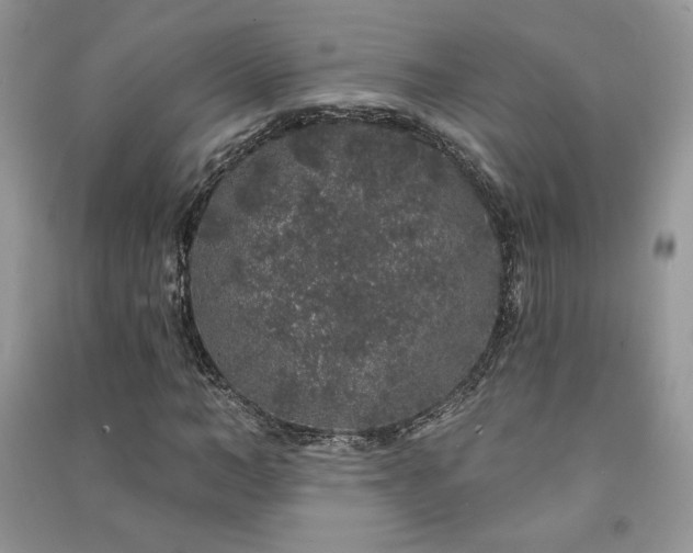 X0000091210966200708091344