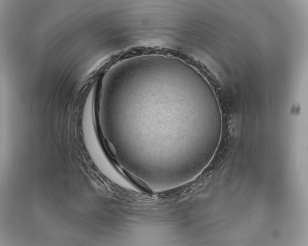 X0000091210968200708091344