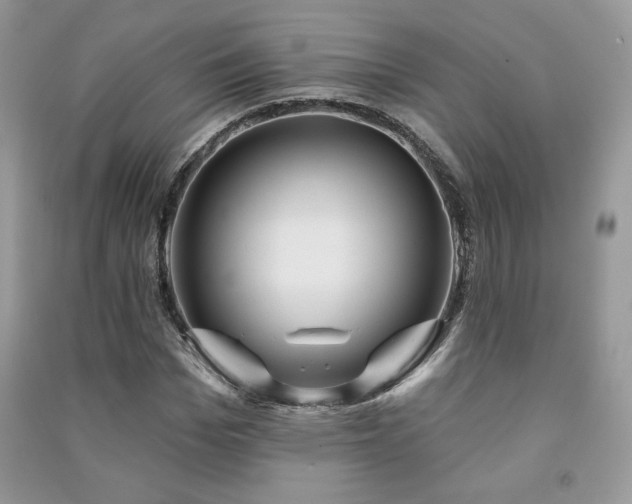 X0000091210969200708091344