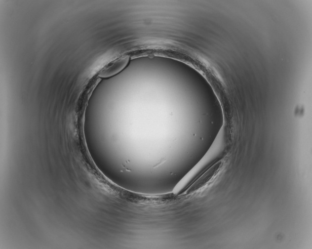 X0000091210970200708091344