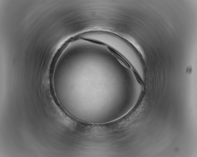 X0000091210972200708091344