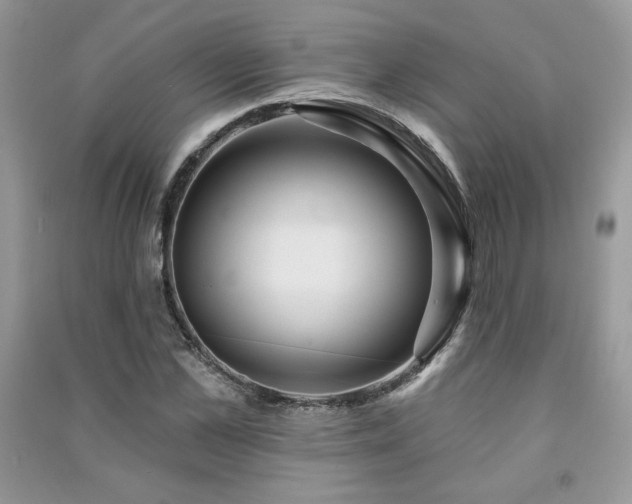 X0000091210973200708091344