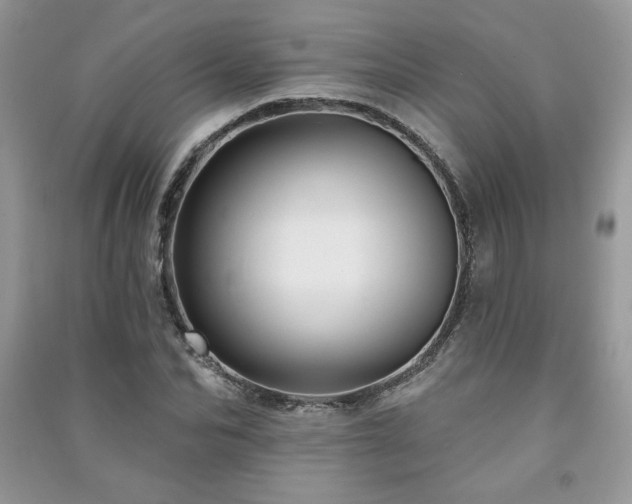 X0000091210974200708091344