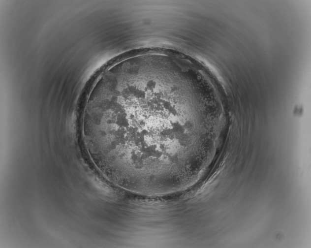 X0000091210975200708091344