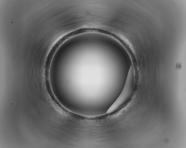 X0000091210976200708091344