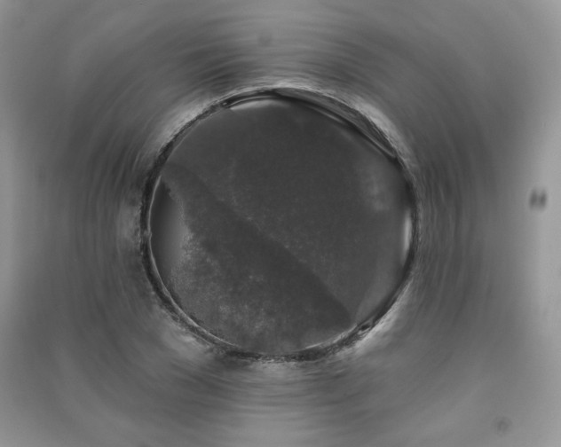 X0000091210977200708091344
