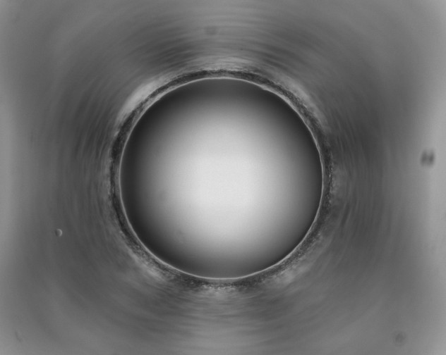 X0000091210978200708091344