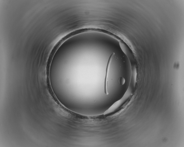 X0000091210980200708091344