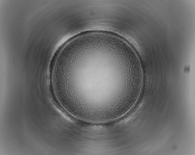 X0000091210982200708091344