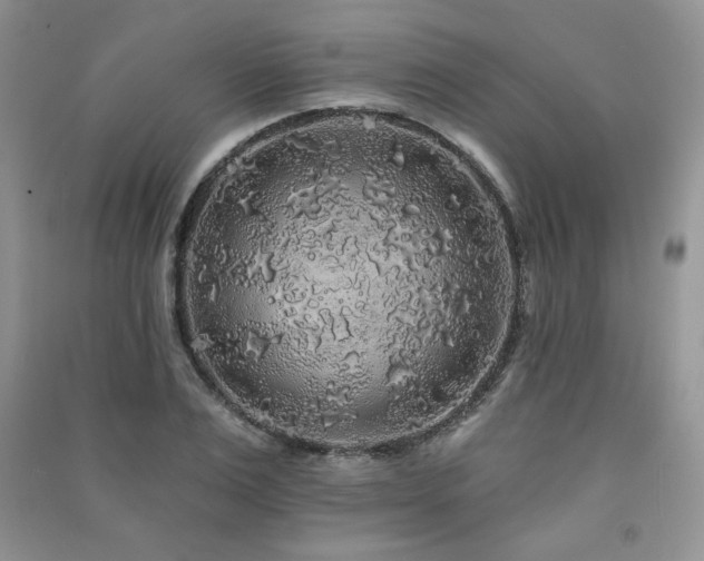 X0000091210983200708091344