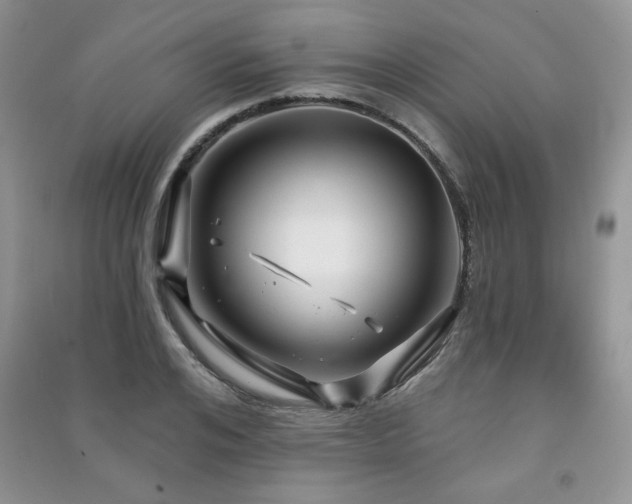 X0000091210984200708091344