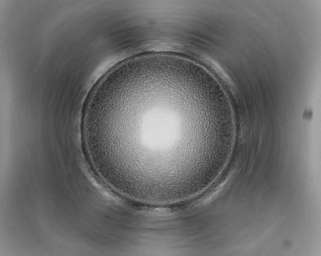 X0000091210986200708091344