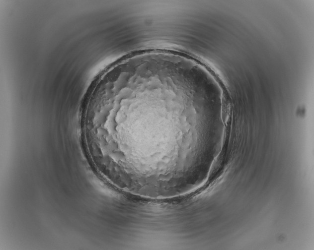 X0000091210987200708091344