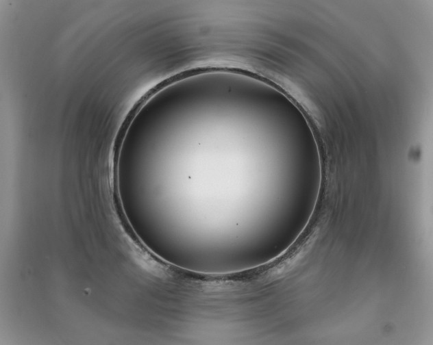 X0000091210988200708091344