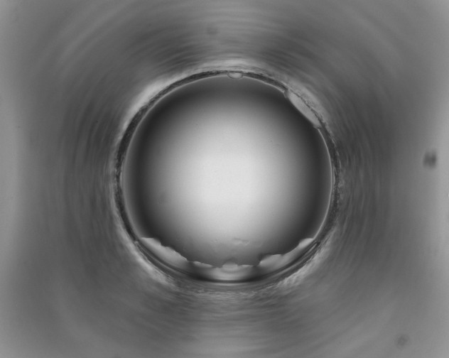 X0000091210989200708091344