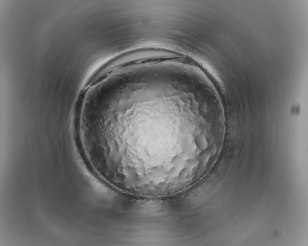 X0000091210991200708091344