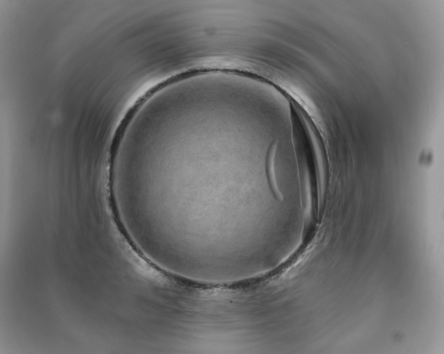 X0000091210992200708091344