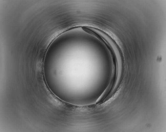 X0000091210993200708091344