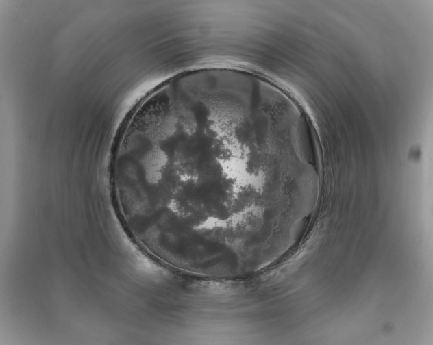 X0000091210995200708091344
