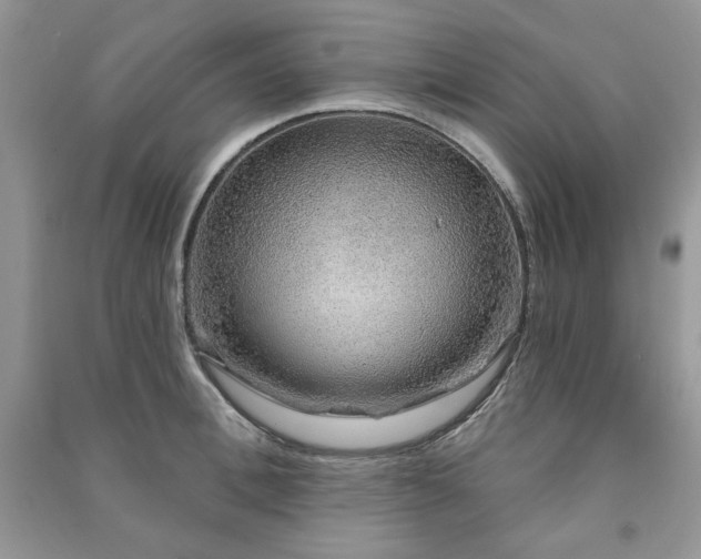 X0000091210996200708091344