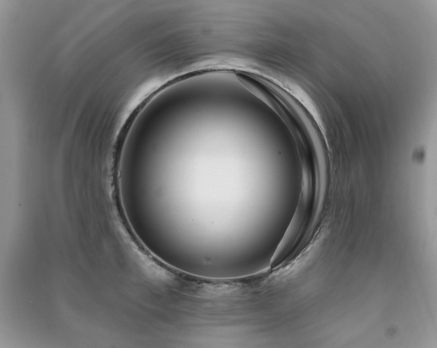 X0000091210997200708091344