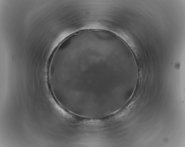 X0000091210998200708091344