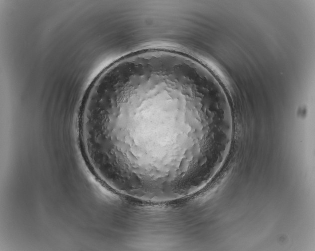 X0000091210999200708091344