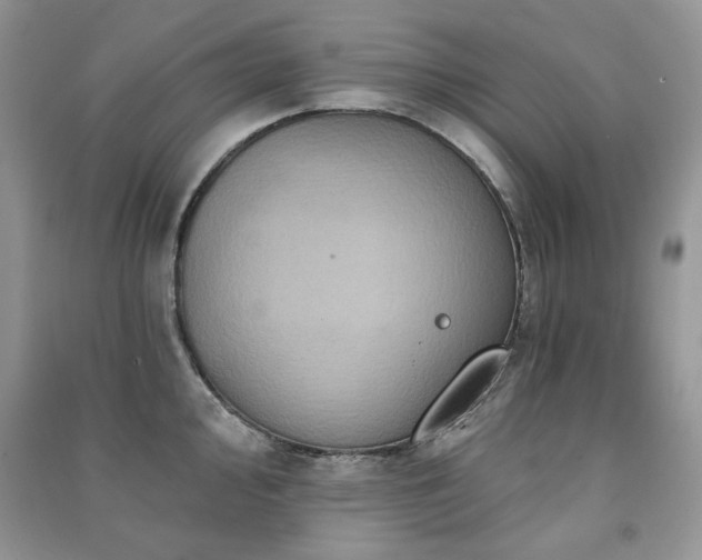 X0000091211000200708091344