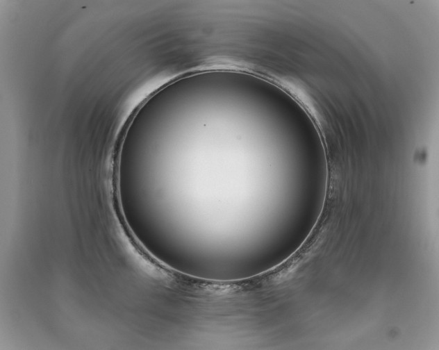 X0000091211003200708091344