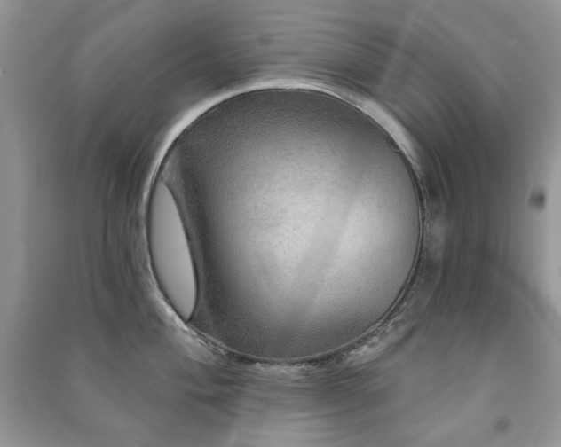 X0000091211004200708091344