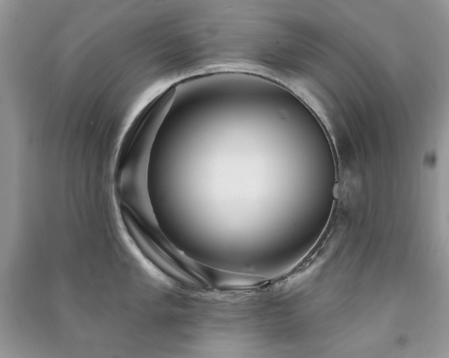 X0000091211005200708091343